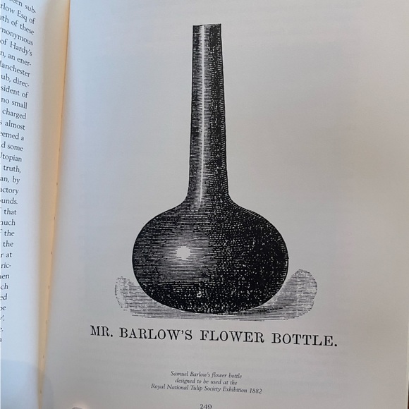 The Tulip, by Anna Pavord Hardcover Book First Edition - Picture 5 of 8